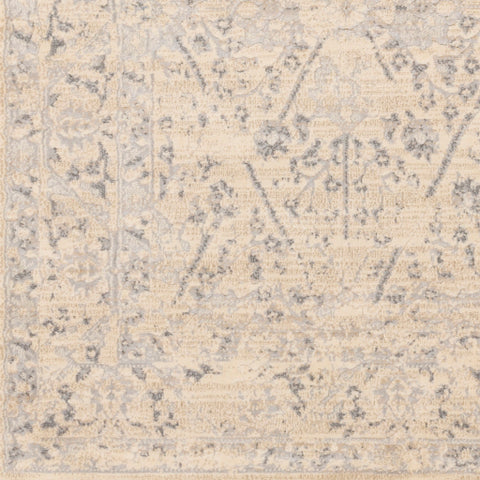 Image of Surya City Traditional Khaki, Beige, Light Gray, Taupe Rugs CIT-2370