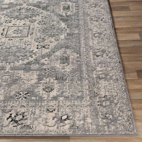 Image of Surya City Traditional Taupe, Beige, Khaki, Light Gray, Black Rugs CIT-2379