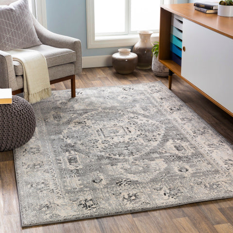 Image of Surya City Traditional Taupe, Beige, Khaki, Light Gray, Black Rugs CIT-2379