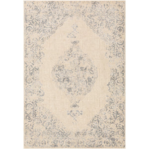 Surya City Traditional Taupe, Light Gray, Beige, Khaki Rugs CIT-2387