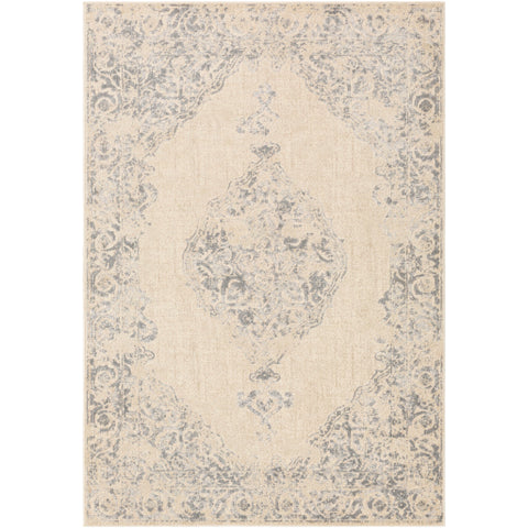 Image of Surya City Traditional Taupe, Light Gray, Beige, Khaki Rugs CIT-2387