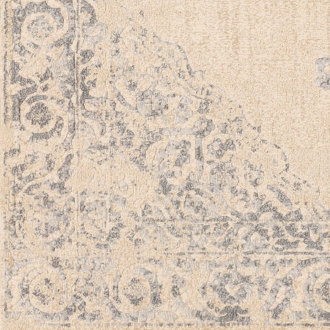 Image of Surya City Traditional Taupe, Light Gray, Beige, Khaki Rugs CIT-2387