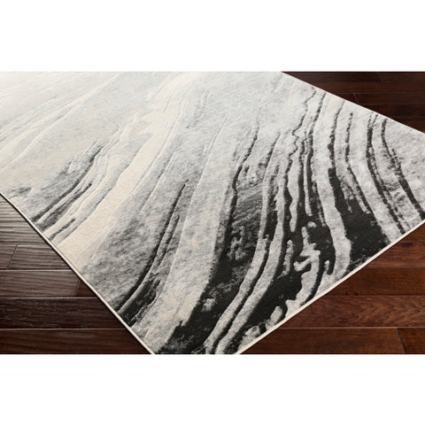 Image of Surya City Modern Light Gray, Taupe, Beige, Khaki Rugs CIT-2388