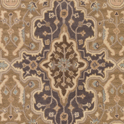 Image of Surya Castello Traditional Taupe, Camel, Khaki, Medium Gray Rugs CLL-1025