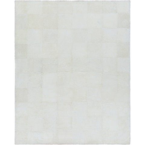 Image of Surya Calidus Modern Cream Rugs CLU-1000