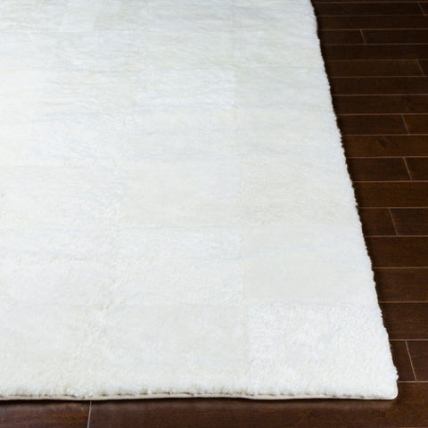 Image of Surya Calidus Modern Cream Rugs CLU-1000