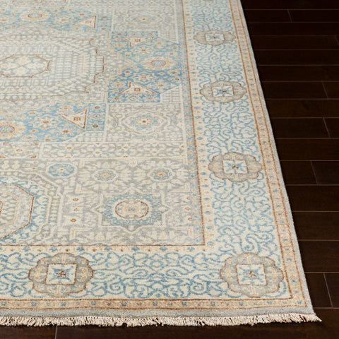 Image of Surya Cambridge Traditional Aqua, Medium Gray, Wheat, Dark Brown, Cream Rugs CMB-8014