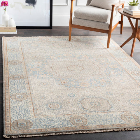 Image of Surya Cambridge Traditional Aqua, Medium Gray, Wheat, Dark Brown, Cream Rugs CMB-8014