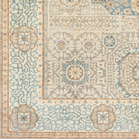 Image of Surya Cambridge Traditional Aqua, Medium Gray, Wheat, Dark Brown, Cream Rugs CMB-8014