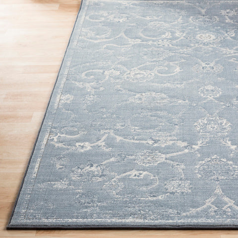 Image of Surya Contempo Traditional Denim, Pale Blue, Light Gray, Ivory Rugs CPO-3725