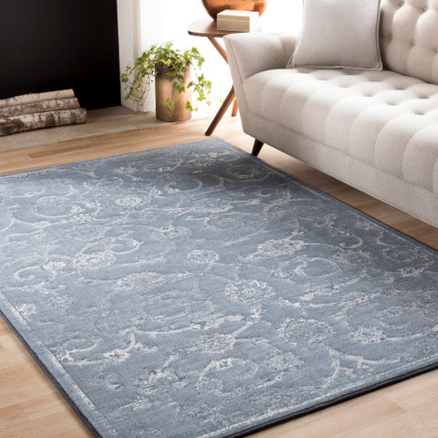 Image of Surya Contempo Traditional Denim, Pale Blue, Light Gray, Ivory Rugs CPO-3725