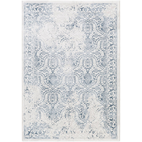 Image of Surya Contempo Traditional Denim, Light Gray, Ivory Rugs CPO-3727