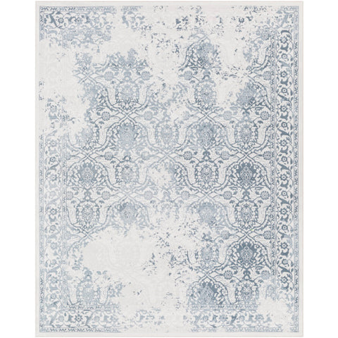 Image of Surya Contempo Traditional Denim, Light Gray, Ivory Rugs CPO-3727