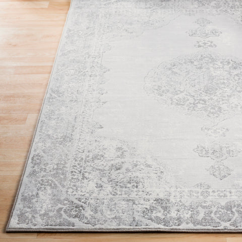 Image of Surya Contempo Traditional Light Gray, Medium Gray, Charcoal, Ivory Rugs CPO-3734