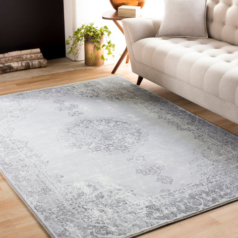 Image of Surya Contempo Traditional Light Gray, Medium Gray, Charcoal, Ivory Rugs CPO-3734