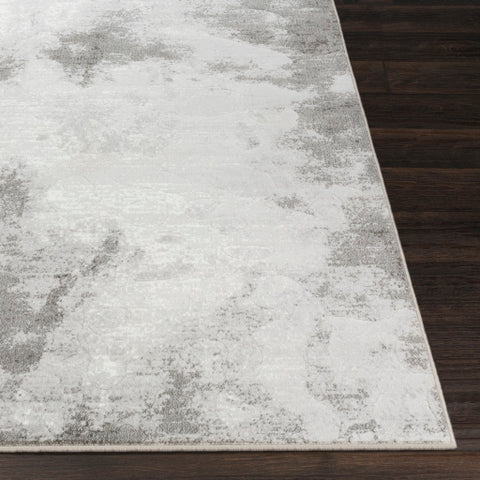 Image of Surya Contempo Modern Light Gray, White, Charcoal Rugs CPO-3839