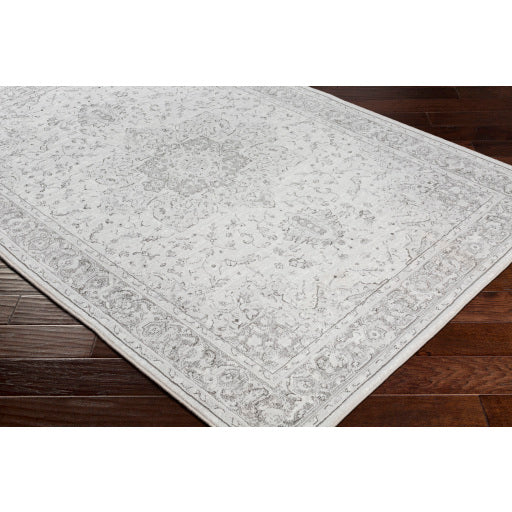 Surya Contempo Traditional Light Gray, Charcoal, White Rugs CPO-3842