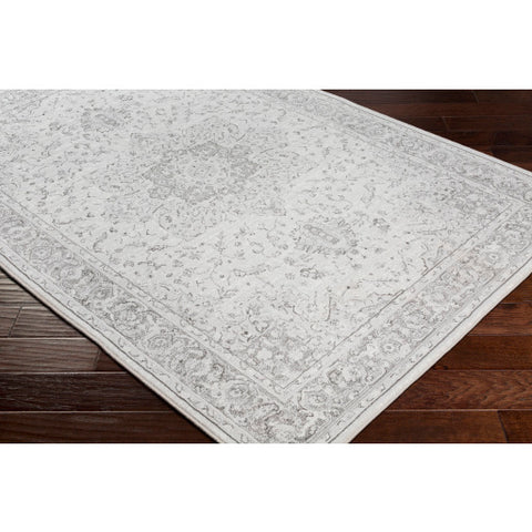 Image of Surya Contempo Traditional Light Gray, Charcoal, White Rugs CPO-3842