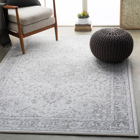 Image of Surya Contempo Traditional Light Gray, Charcoal, White Rugs CPO-3842