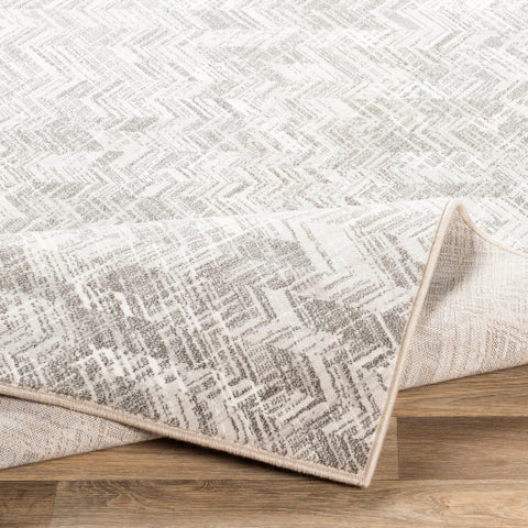 Image of Surya Contempo Modern Light Gray, Charcoal, White Rugs CPO-3848