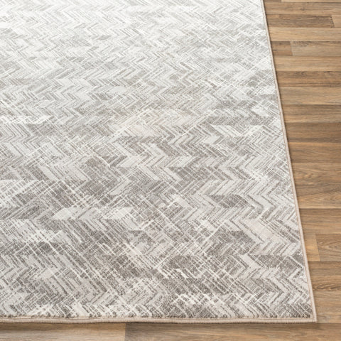 Image of Surya Contempo Modern Light Gray, Charcoal, White Rugs CPO-3848