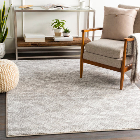 Image of Surya Contempo Modern Light Gray, Charcoal, White Rugs CPO-3848