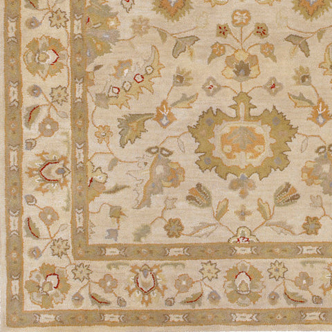 Image of Surya Crowne Traditional Beige, Camel, Wheat, Dark Red, Dark Brown, Olive, Taupe, Charcoal, Light Gray Rugs CRN-6011