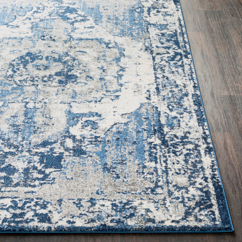 Image of Surya Chelsea Traditional Navy, Dark Blue, Pale Blue, Medium Gray, Charcoal, Ivory Rugs CSA-2300
