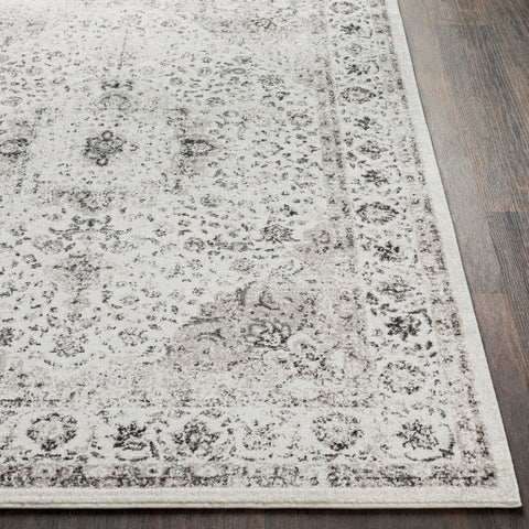 Image of Surya Chelsea Traditional Medium Gray, Charcoal, Ivory Rugs CSA-2306