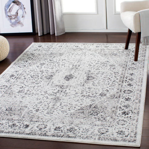 Image of Surya Chelsea Traditional Medium Gray, Charcoal, Ivory Rugs CSA-2306