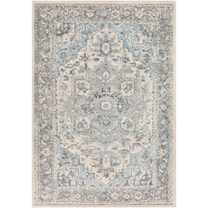 Surya Chelsea Traditional Pale Blue, Charcoal, Medium Gray, Ivory Rugs CSA-2318