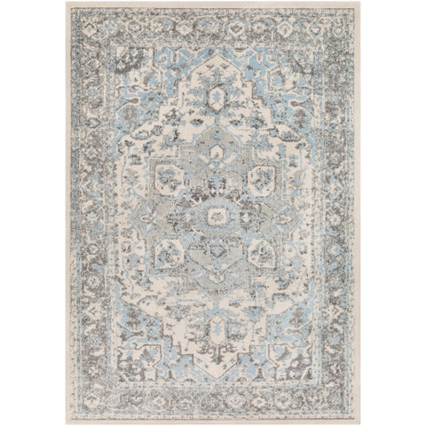 Image of Surya Chelsea Traditional Pale Blue, Charcoal, Medium Gray, Ivory Rugs CSA-2318