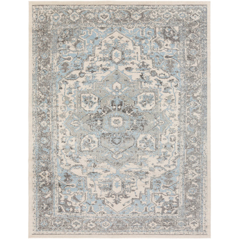 Image of Surya Chelsea Traditional Pale Blue, Charcoal, Medium Gray, Ivory Rugs CSA-2318