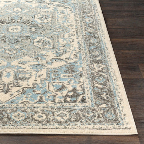 Image of Surya Chelsea Traditional Pale Blue, Charcoal, Medium Gray, Ivory Rugs CSA-2318