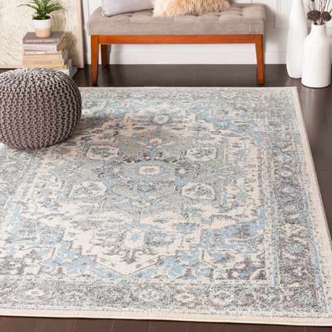 Image of Surya Chelsea Traditional Pale Blue, Charcoal, Medium Gray, Ivory Rugs CSA-2318