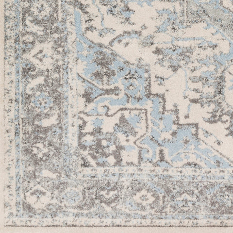 Image of Surya Chelsea Traditional Pale Blue, Charcoal, Medium Gray, Ivory Rugs CSA-2318