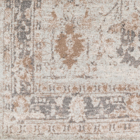 Image of Surya Chelsea Traditional Medium Gray, Charcoal, Dark Brown, Camel, Ivory Rugs CSA-2323