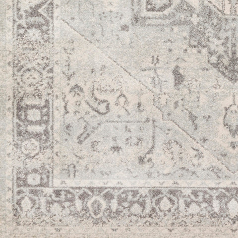 Image of Surya Chelsea Traditional Medium Gray, Charcoal, Ivory Rugs CSA-2324