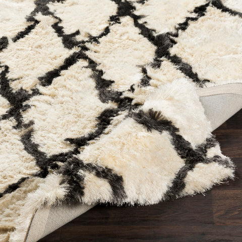 Image of Surya Corsair Global Cream, Charcoal Rugs CSR-1002