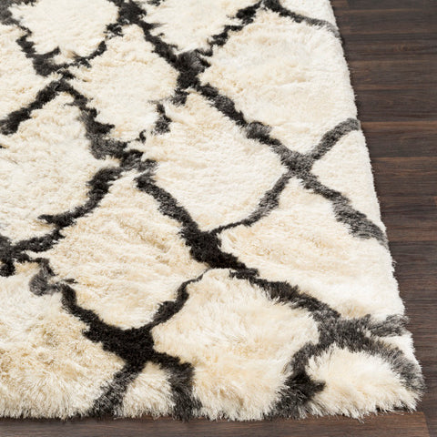 Image of Surya Corsair Global Cream, Charcoal Rugs CSR-1002