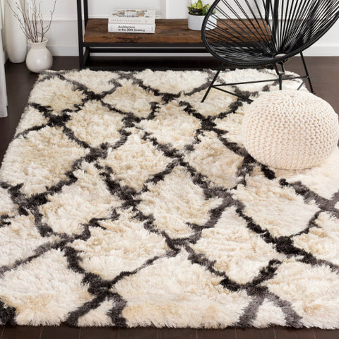 Image of Surya Corsair Global Cream, Charcoal Rugs CSR-1002