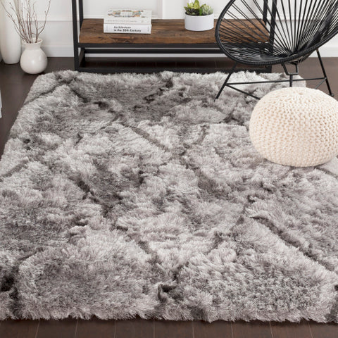 Image of Surya Corsair Global Light Gray, Charcoal Rugs CSR-1003