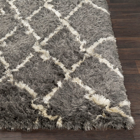 Image of Surya Corsair Global Medium Gray, Cream Rugs CSR-1006