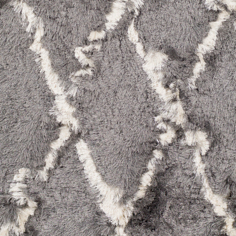 Image of Surya Corsair Global Medium Gray, Cream Rugs CSR-1006