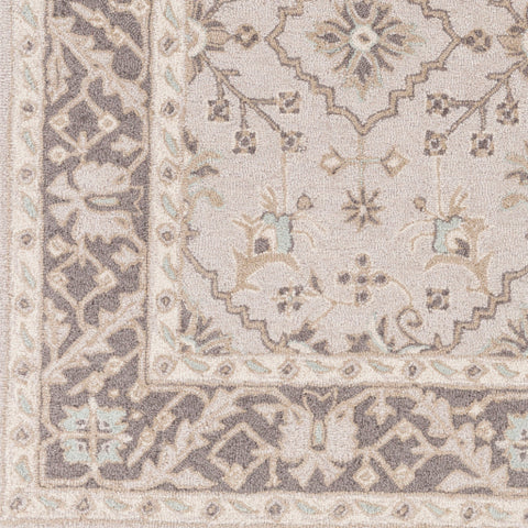 Image of Surya Castille Traditional Taupe, Charcoal, Ivory, Camel Rugs CTL-2000