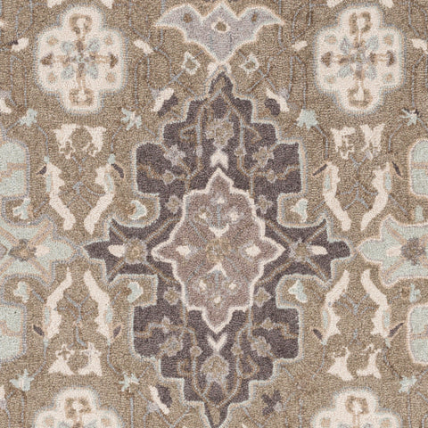 Image of Surya Castille Traditional Taupe, Ice Blue, Charcoal, Medium Gray Rugs CTL-2006