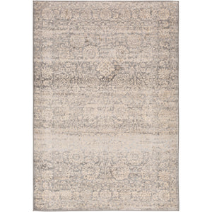 Surya City Light Modern Charcoal, Light Gray, Wheat Rugs CYL-2300