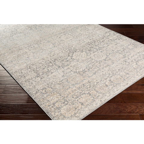 Image of Surya City Light Modern Charcoal, Light Gray, Wheat Rugs CYL-2300