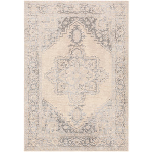 Surya City Light Modern Charcoal, Light Gray, Cream, Wheat Rugs CYL-2316