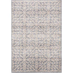 Surya City Light Modern Charcoal, Light Gray, Wheat, Cream Rugs CYL-2323